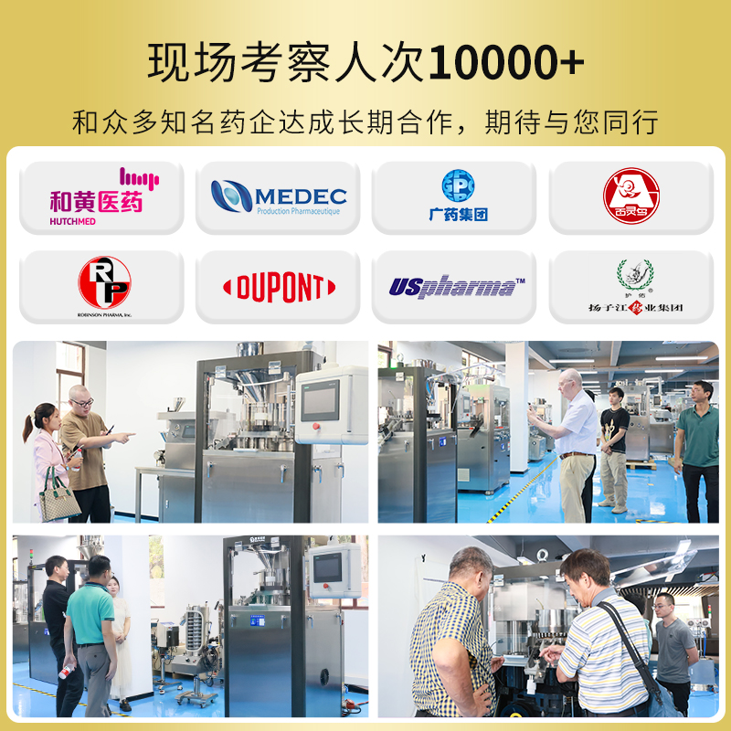 RQ-HGZP-15D/20D高速壓片機(jī)